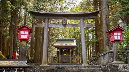 Mount Fuji day trip from Tokyo by private charter — TOUSIN Japan private tour (photo 4)