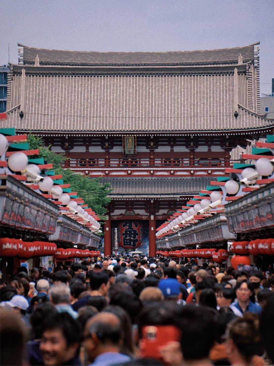 Tokyo 10-hour private charter tour — TOUSIN Japan private tour (photo 3)