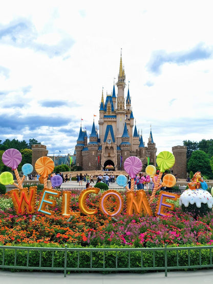 Tokyo to Disney Resort private transfer — TOUSIN Japan private tour (photo 2)