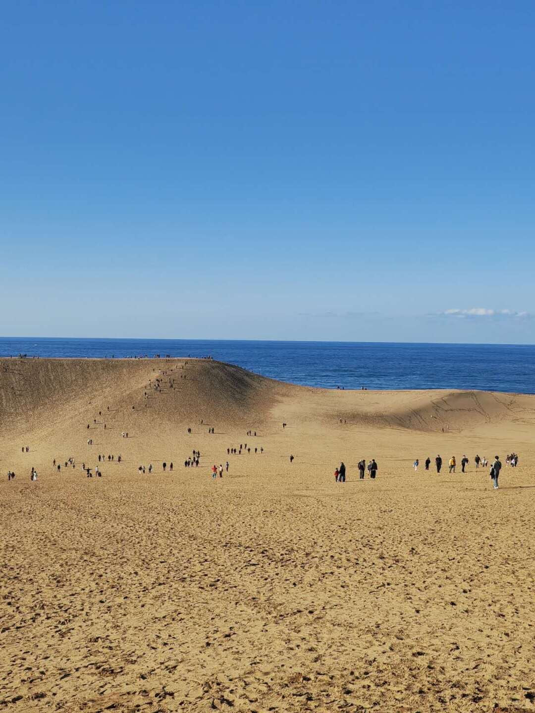 Tottori day trip from Osaka by private charter — TOUSIN Japan private tour (photo 3)