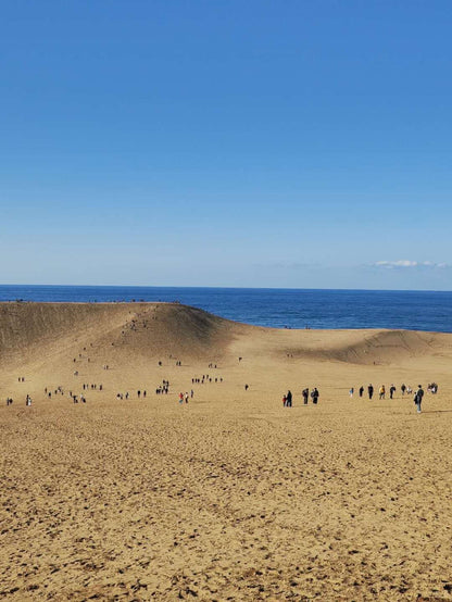 Tottori day trip from Osaka by private charter — TOUSIN Japan private tour (photo 3)