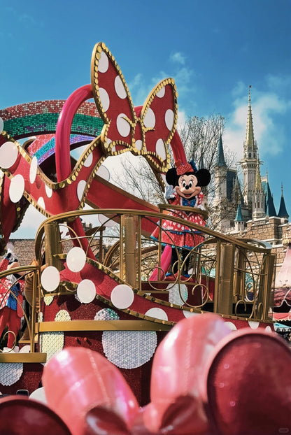 Tokyo to Disney Resort private transfer — TOUSIN Japan private tour (photo 3)