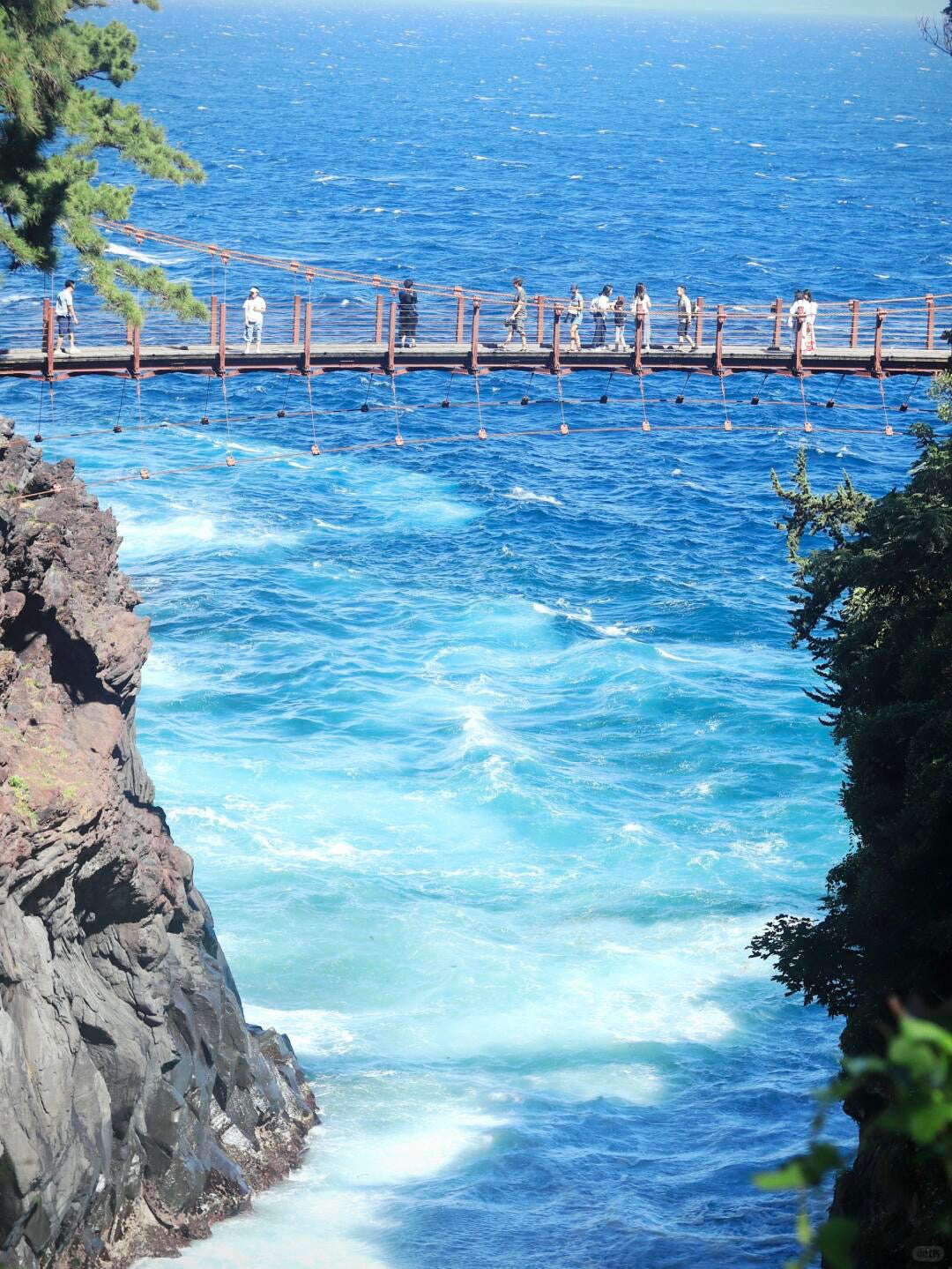 Izu Peninsula day trip from Tokyo by private charter — TOUSIN Japan private tour (photo 5)