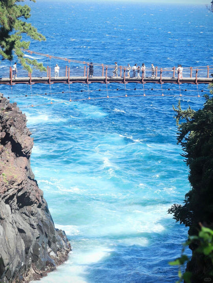 Izu Peninsula day trip from Tokyo by private charter — TOUSIN Japan private tour (photo 5)