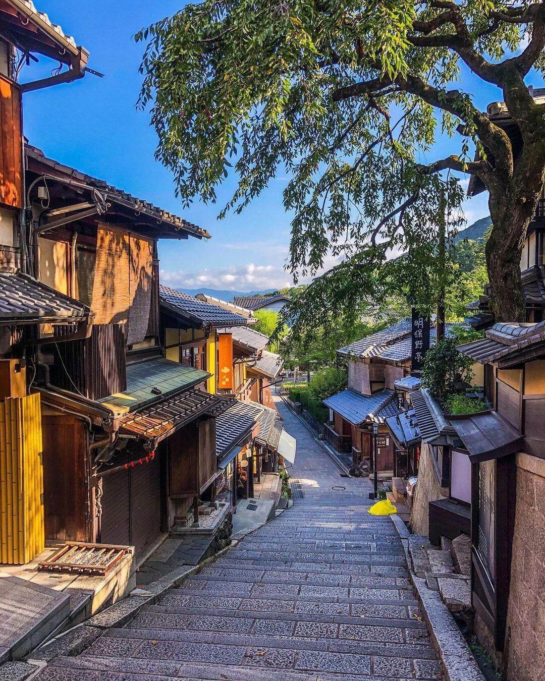 Kyoto day trip from Osaka by private charter — TOUSIN Japan private tour (photo 6)