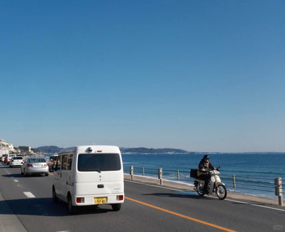 Kamakura and Enoshima day trip from Tokyo by private charter — TOUSIN Japan private tour (photo 6)