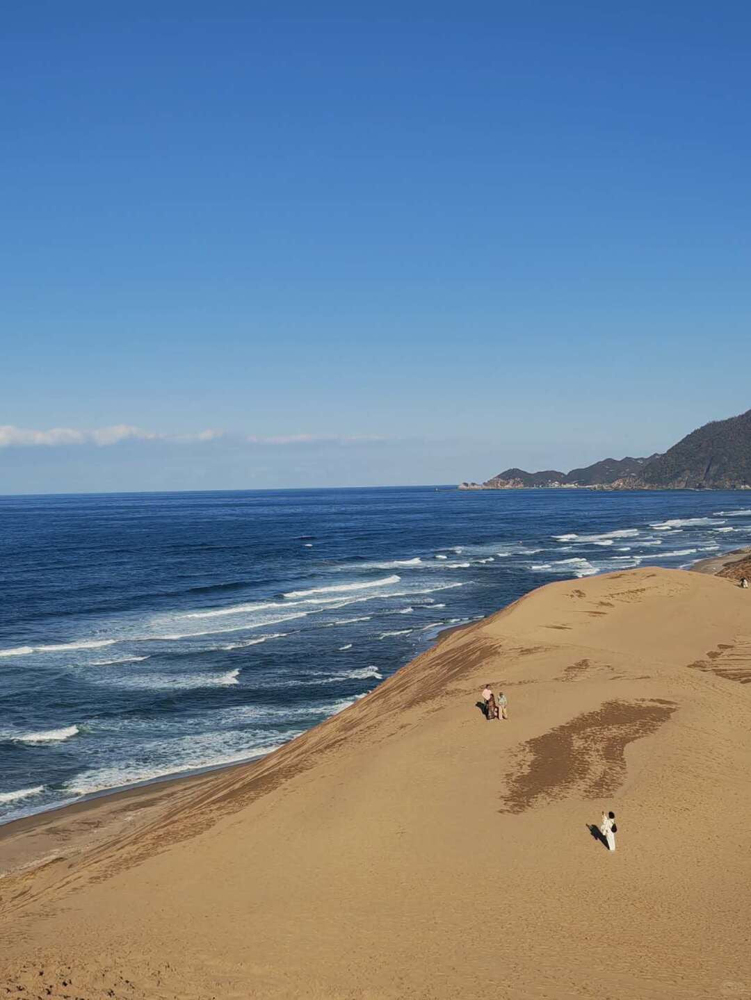 Tottori day trip from Osaka by private charter — TOUSIN Japan private tour (photo 4)