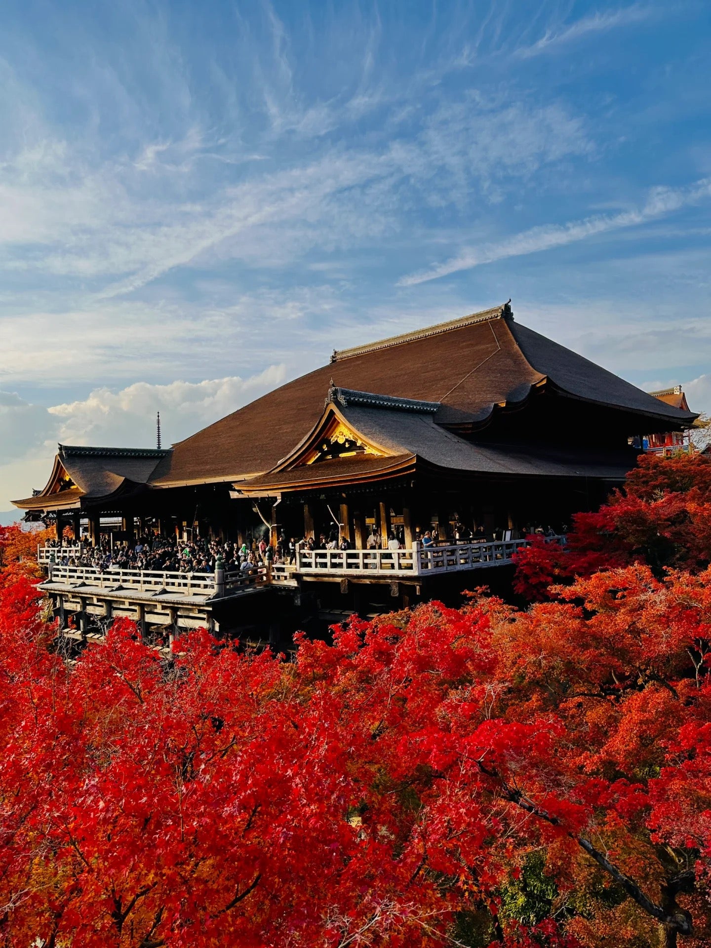 Kyoto day trip from Osaka by private charter | TOUSIN licensed private charter