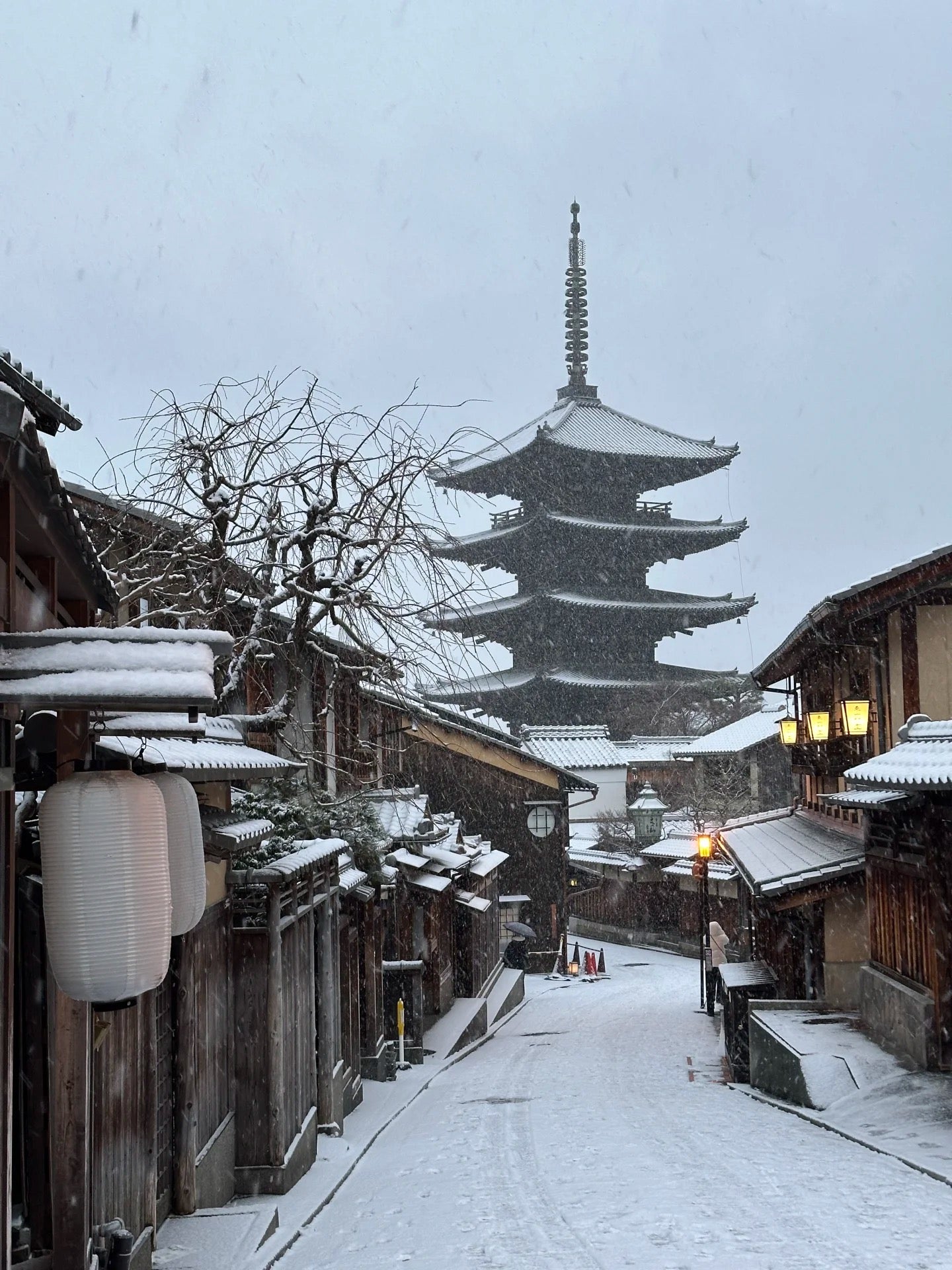 Kyoto day trip from Osaka by private charter — TOUSIN Japan private tour (photo 4)