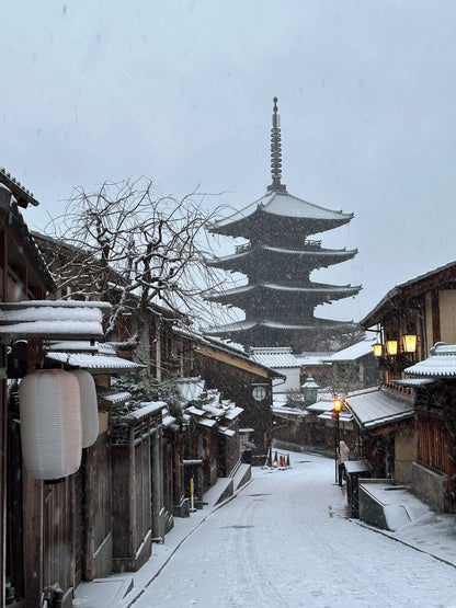 Kyoto day trip from Osaka by private charter — TOUSIN Japan private tour (photo 4)