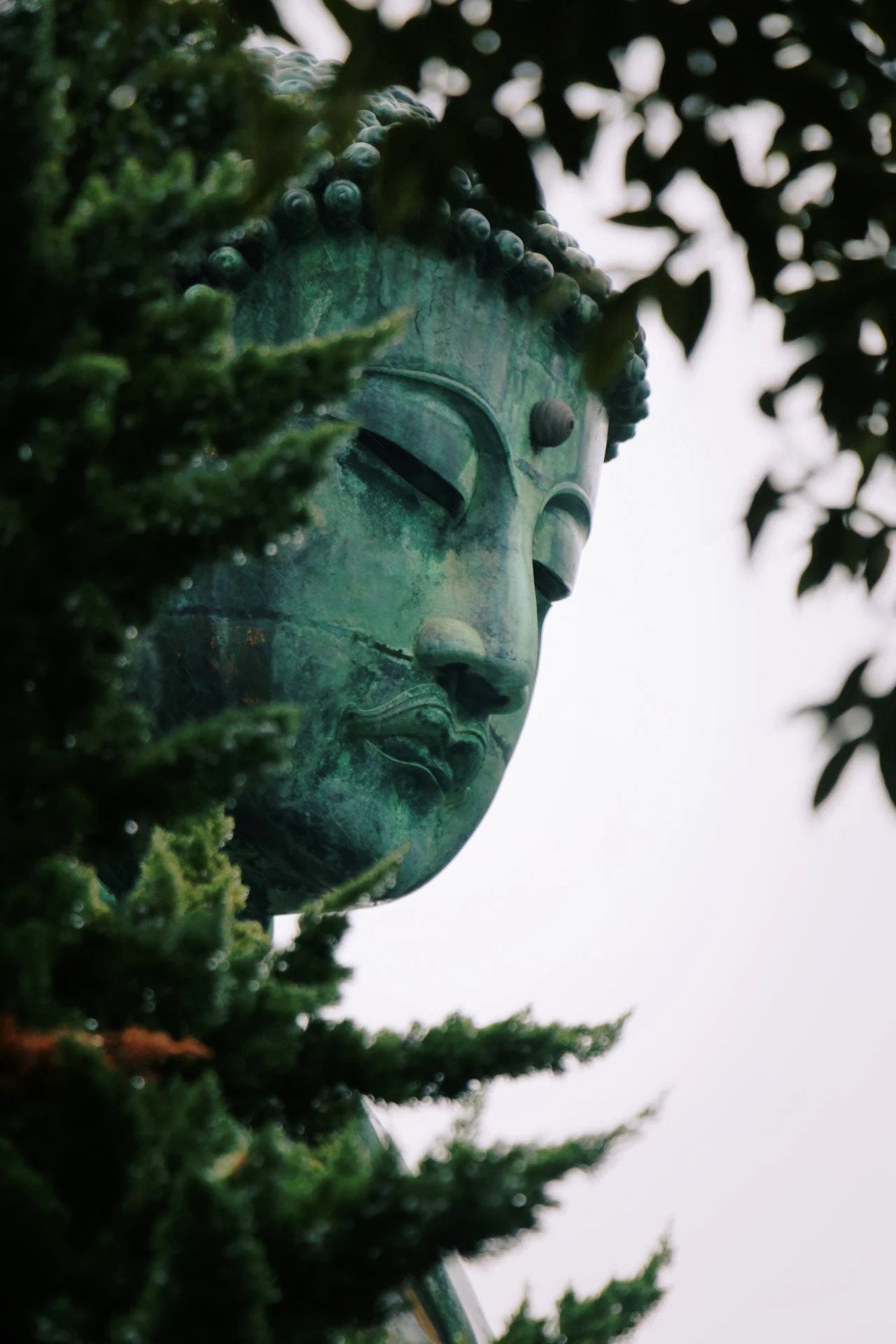 Kamakura and Enoshima day trip from Tokyo by private charter — TOUSIN Japan private tour (photo 2)