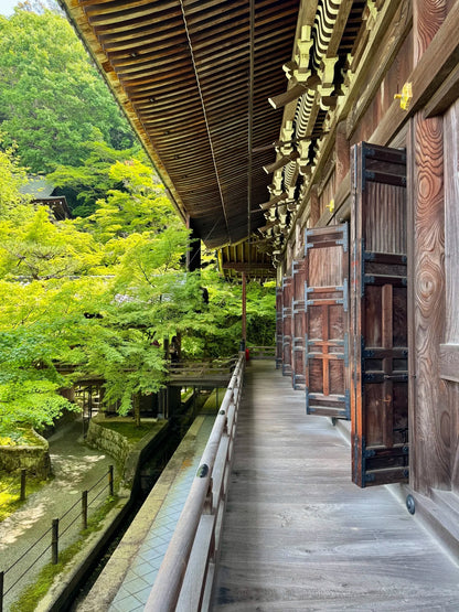 Kyoto day trip from Osaka by private charter — TOUSIN Japan private tour (photo 5)