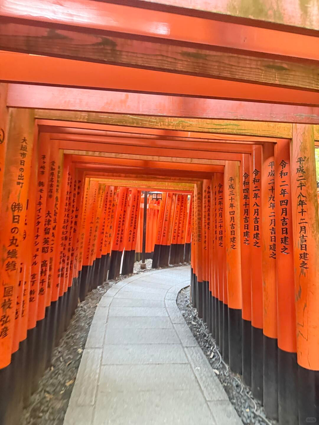 Kyoto day trip from Osaka by private charter — TOUSIN Japan private tour (photo 3)