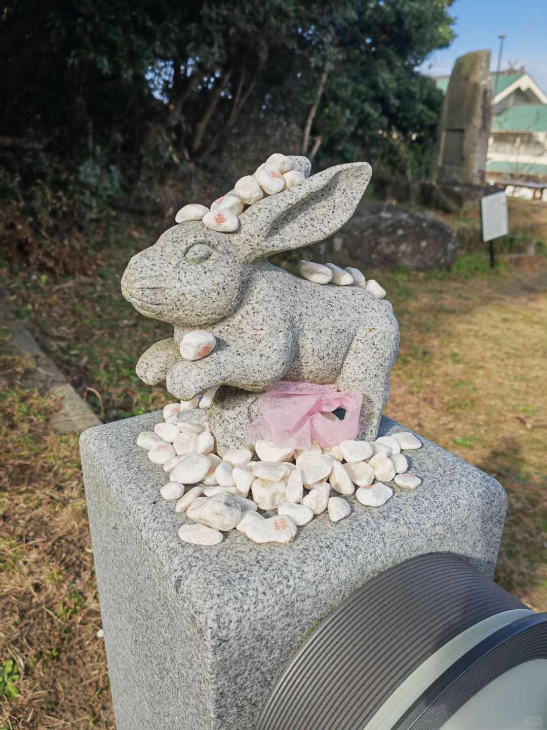 Tottori day trip from Osaka by private charter — TOUSIN Japan private tour (photo 5)