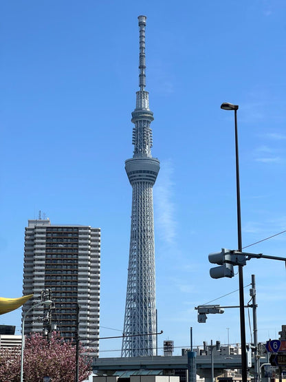Tokyo 10-hour private charter tour — TOUSIN Japan private tour (photo 4)
