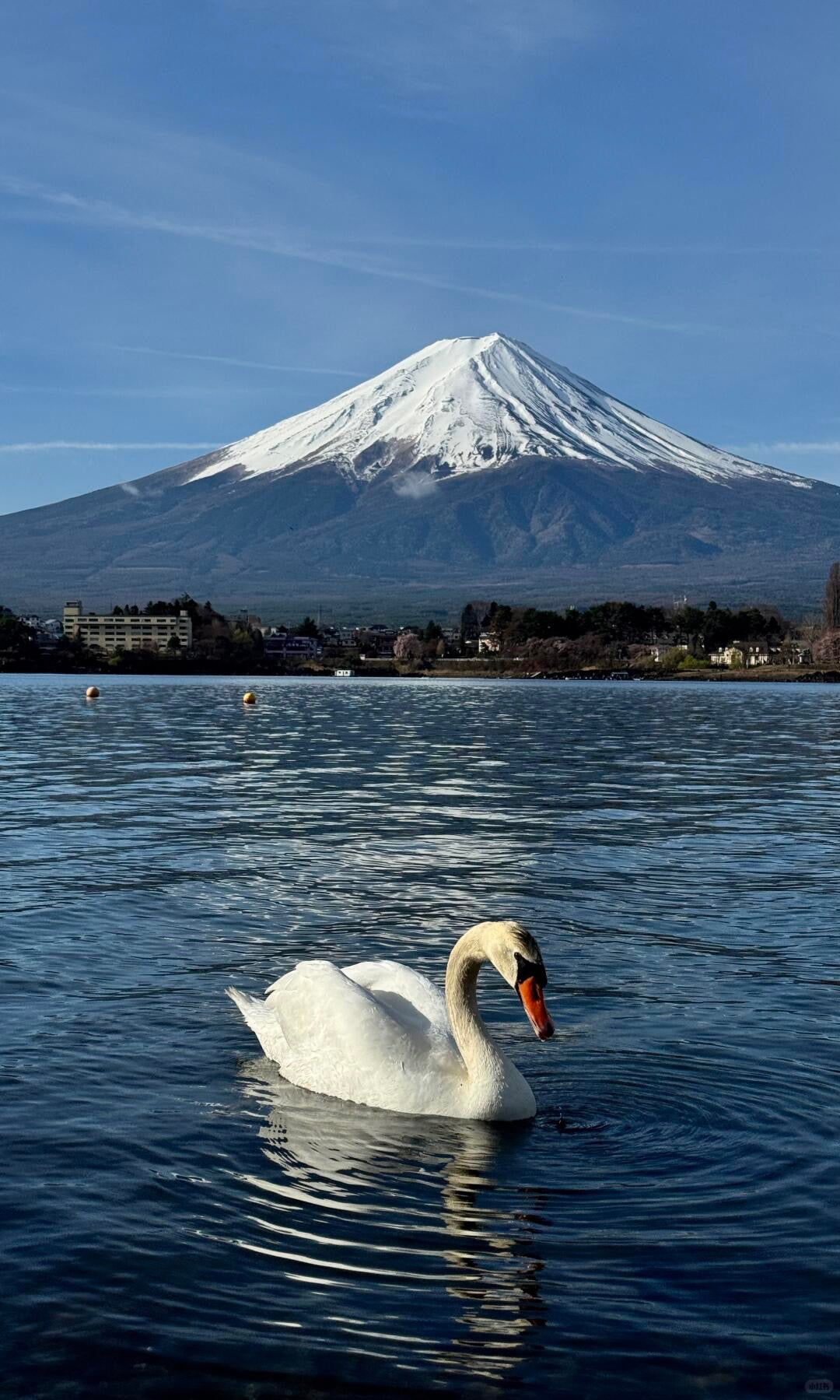 Mount Fuji day trip from Tokyo by private charter — TOUSIN Japan private tour (photo 3)
