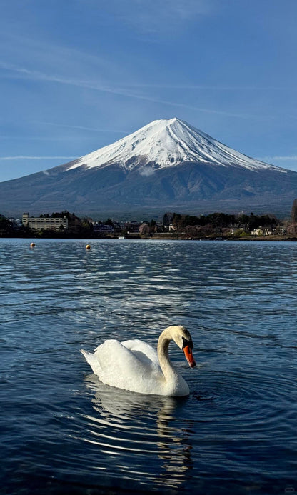 Mount Fuji day trip from Tokyo by private charter — TOUSIN Japan private tour (photo 3)