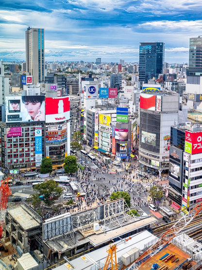 Tokyo 10-hour private charter tour — TOUSIN Japan private tour (photo 2)