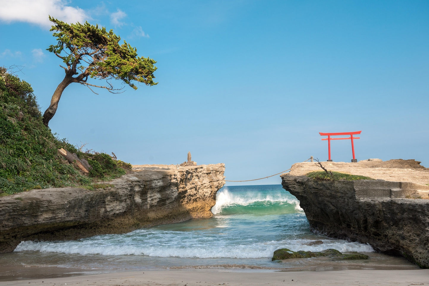 Izu Peninsula day trip from Tokyo by private charter — TOUSIN Japan private tour (photo 4)